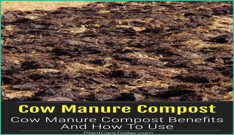 What is the NPK of composted cow manure?