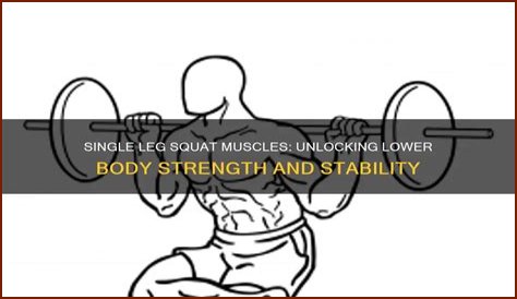 What muscles does a single leg squat work?
